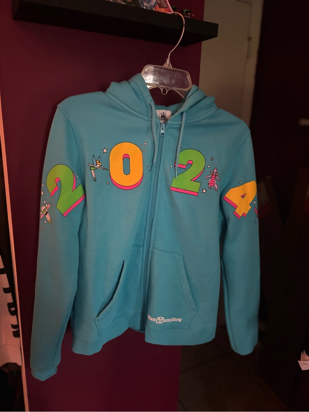 2024 Disney World Zip Hoodie